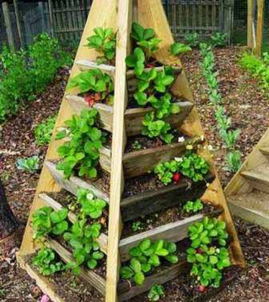 Трехуровневые грядки