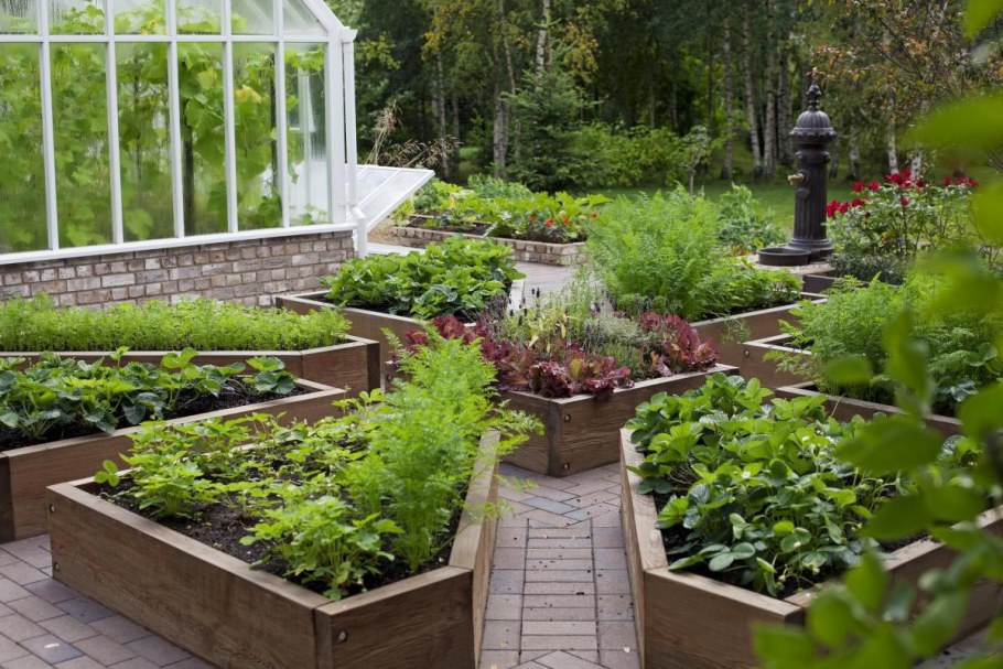 Многоярусные грядки для цветов