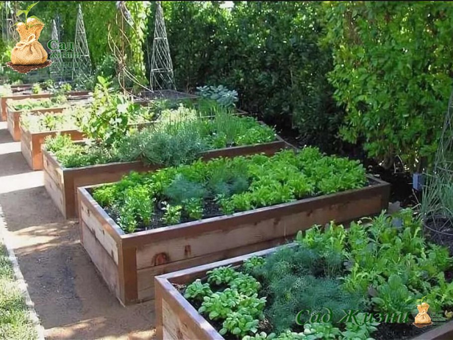 Шестигранная клумба трехъярусная