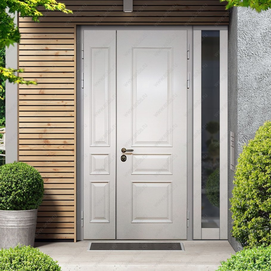 Полуторная дверь в дом