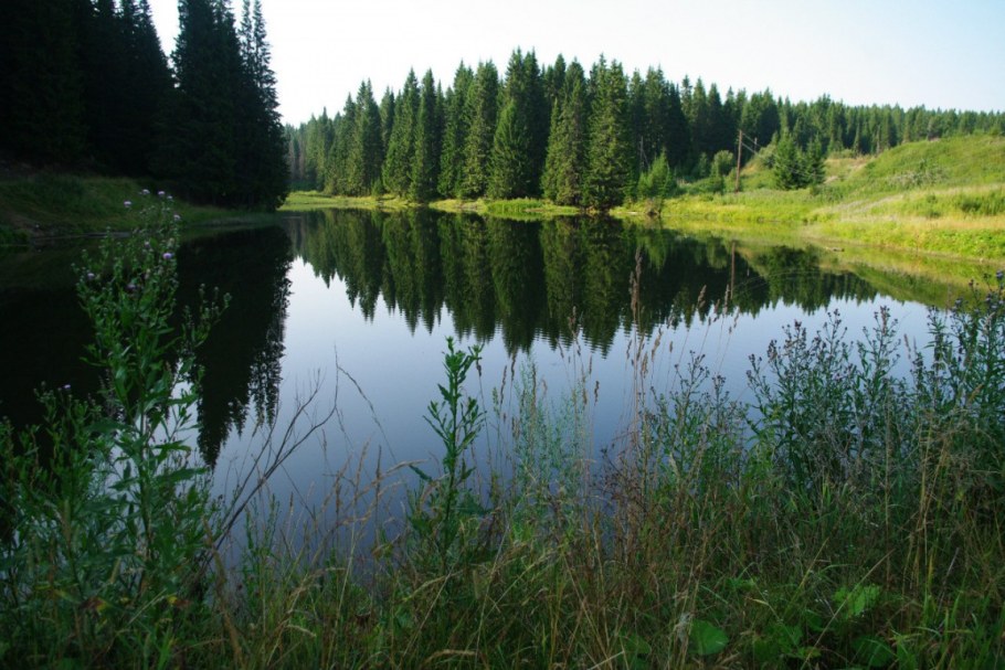Шаля Шалинский район Свердловская область