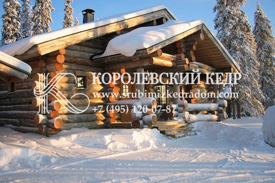 Сухарник кело