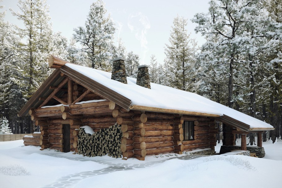 Домик в лесу из бревен