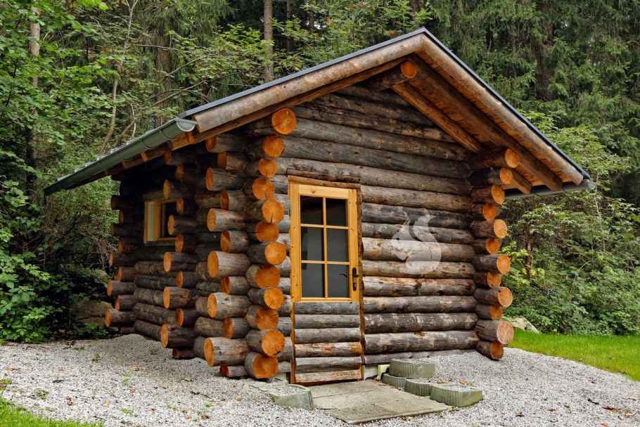 Сосна кело баня