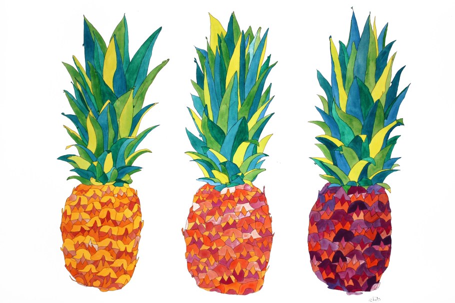 Кактус ананас