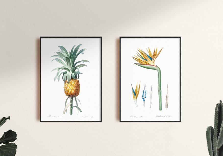 Фотообои фреска тропики