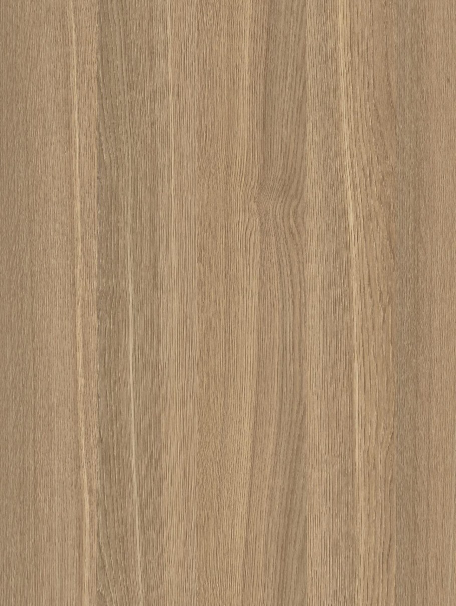 Дуб Честерфилд 003 ЧФМК