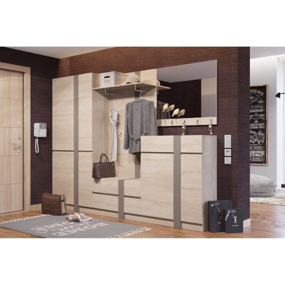 Шкаф в прихожую Мистер Дорс