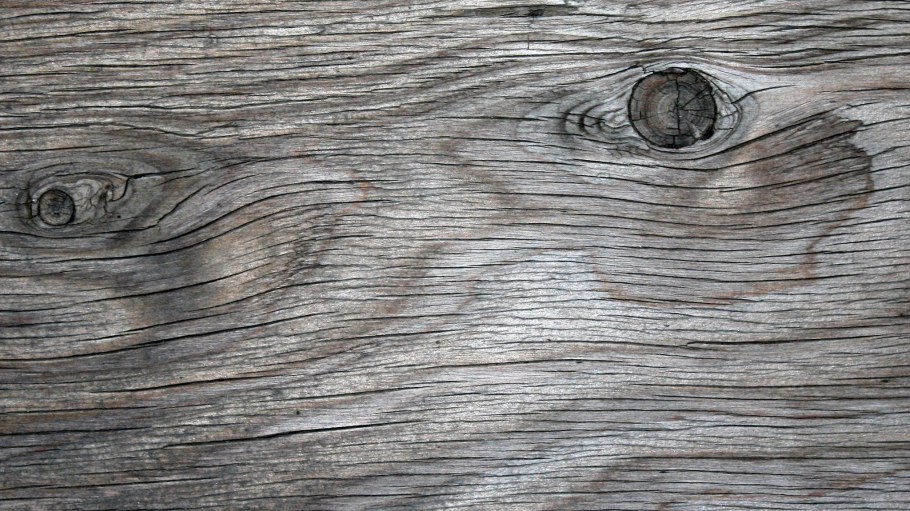 Alpha Zbrush дерево