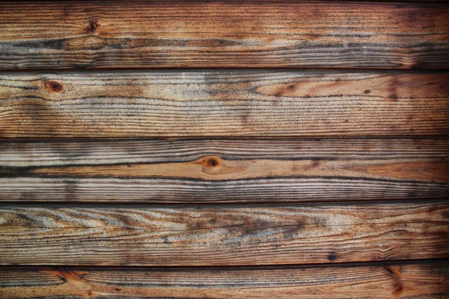 Черно белая структура дерева