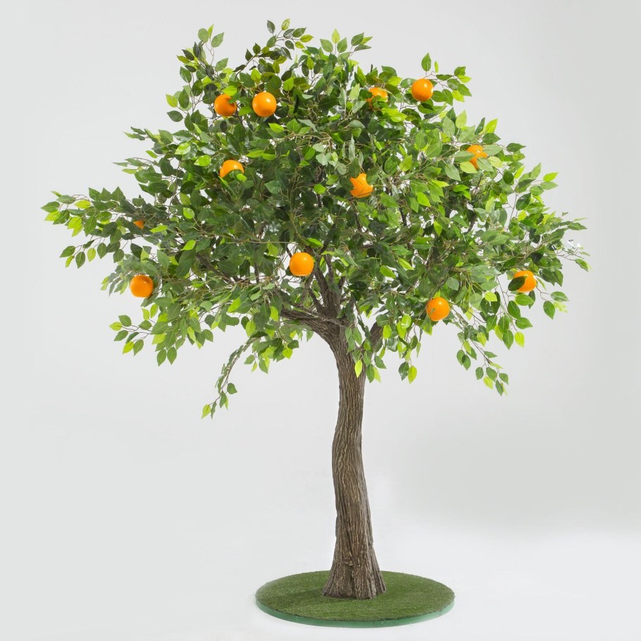 Цитрусовое дерево с шипами