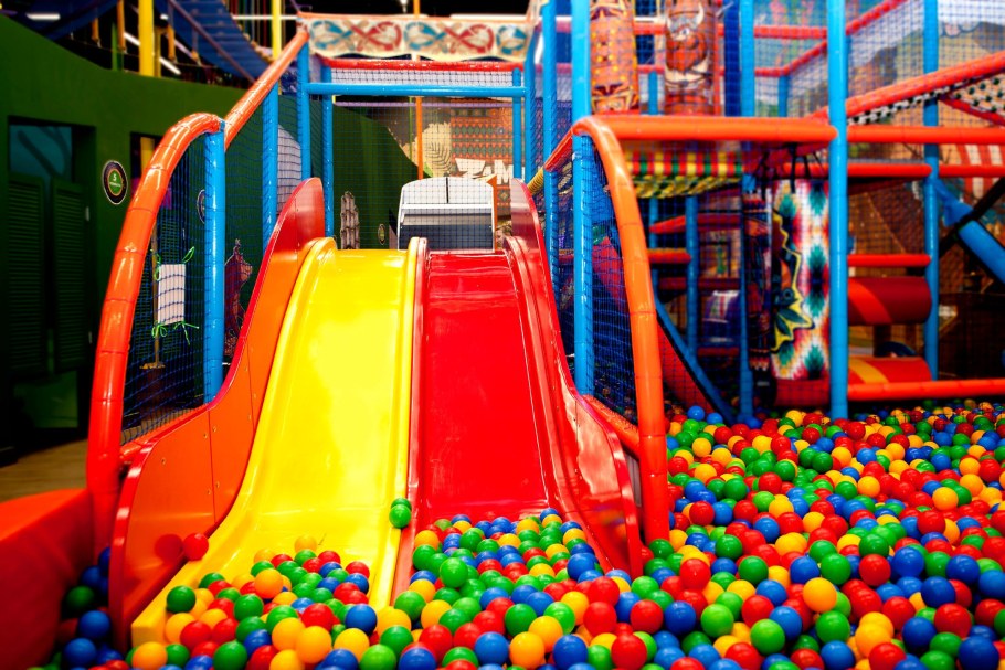 Зоомания Ярославль Альтаир