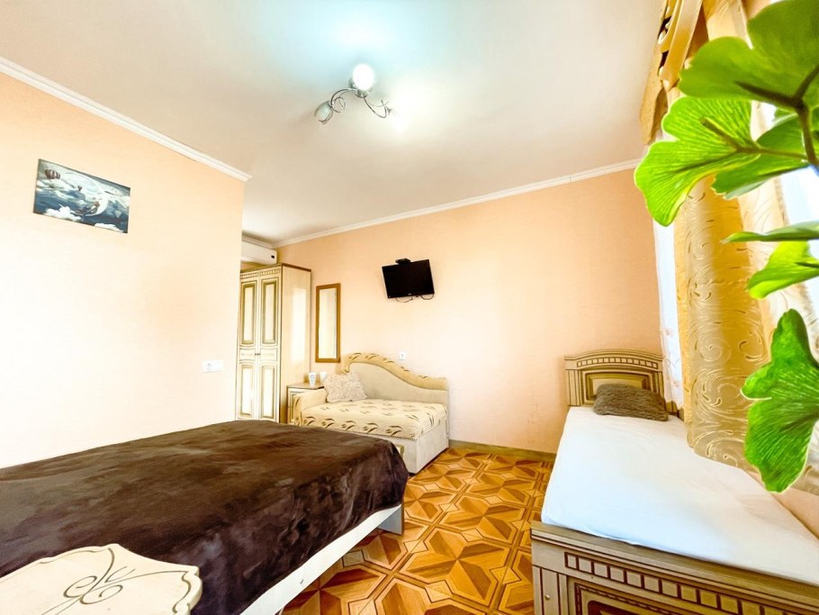 Киви и цитрус отель Сочи