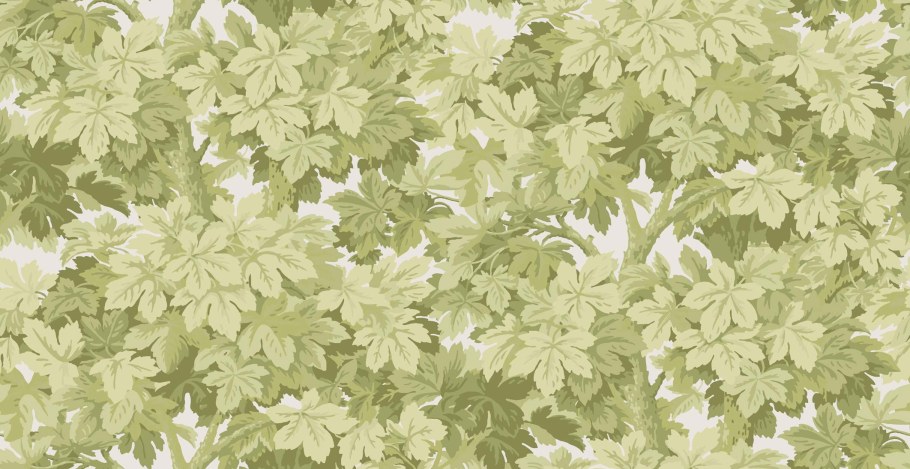 Английские обои Cole son