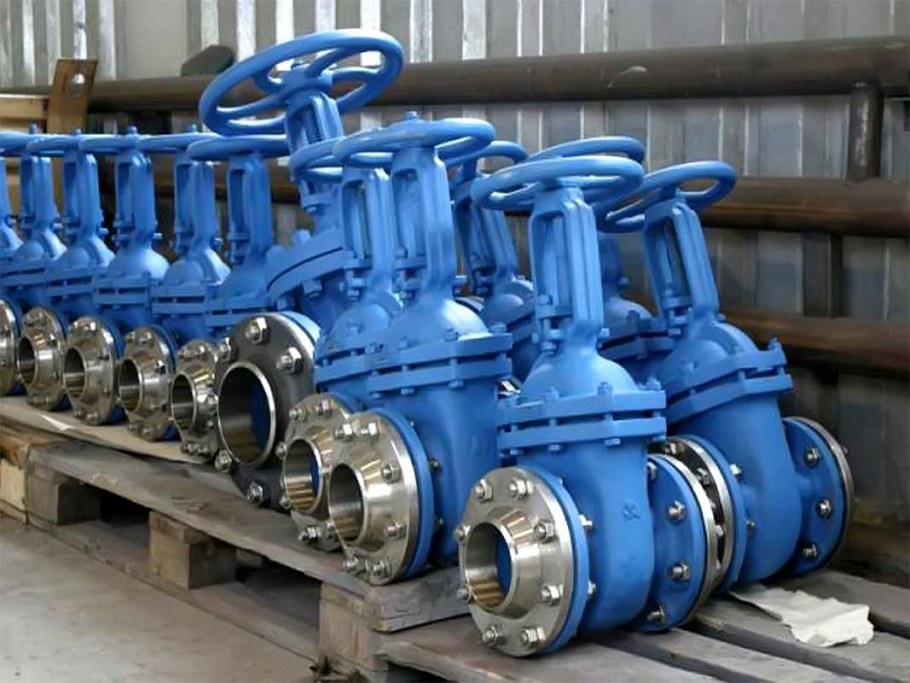 Задвижка МЗВГ Ду 80