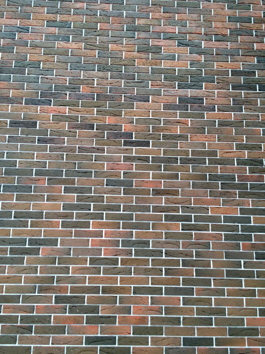 Браер кора дуба Баварская