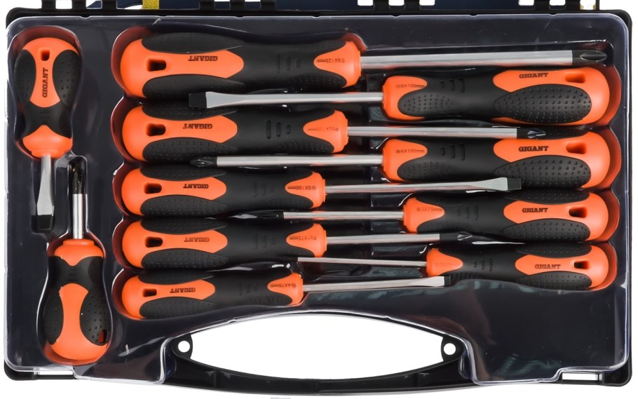 Набор отверток с магнитным наконечником Gigant 6 предметов GSS 6