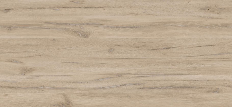 Дуб Юстус 0424м