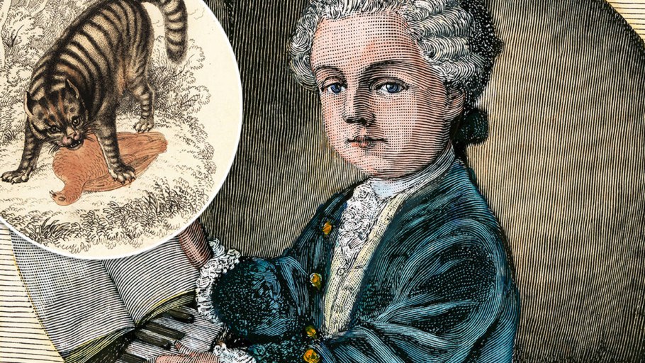 Моцарт с животными картинки