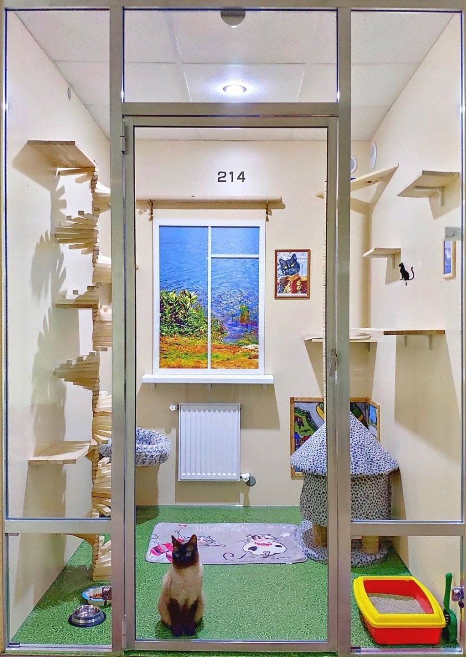 Cat Cat гостиница для кошек