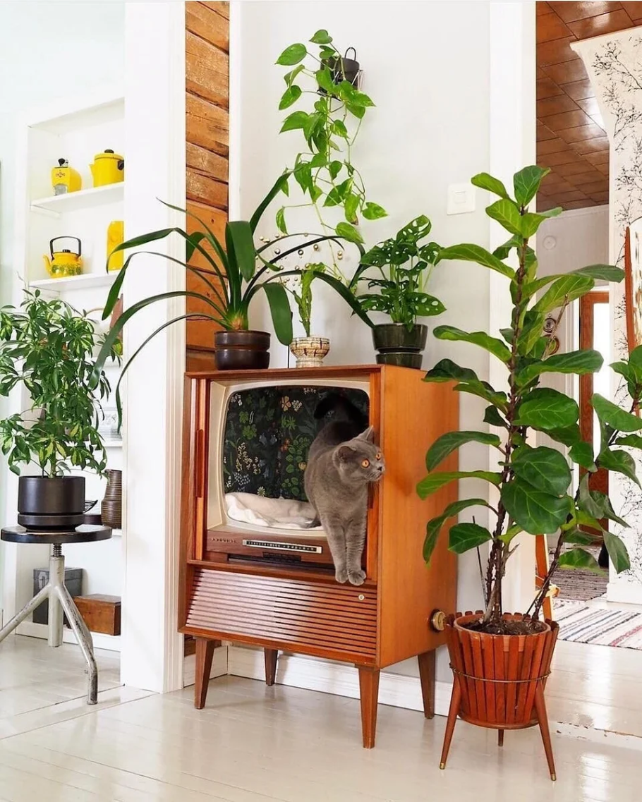 Домик для кошки в интерьере