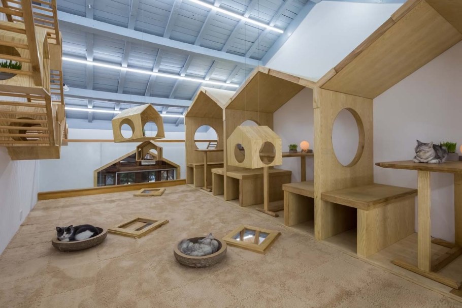 Комната для кошек