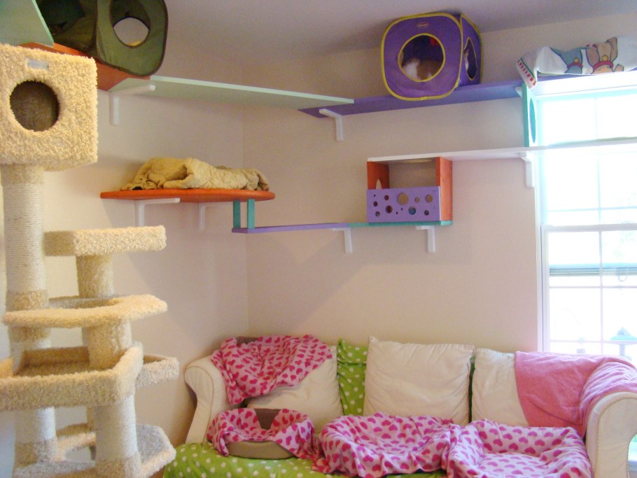 Игровая комната для кошек