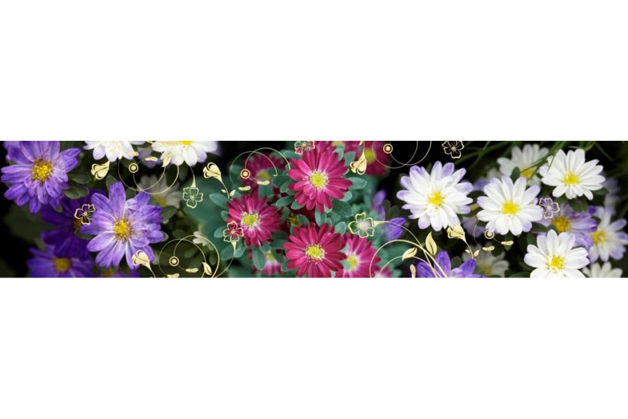 Стеновая панель с герберами af15