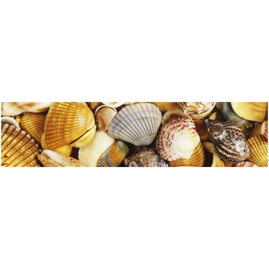 Фартук для кухни ракушки