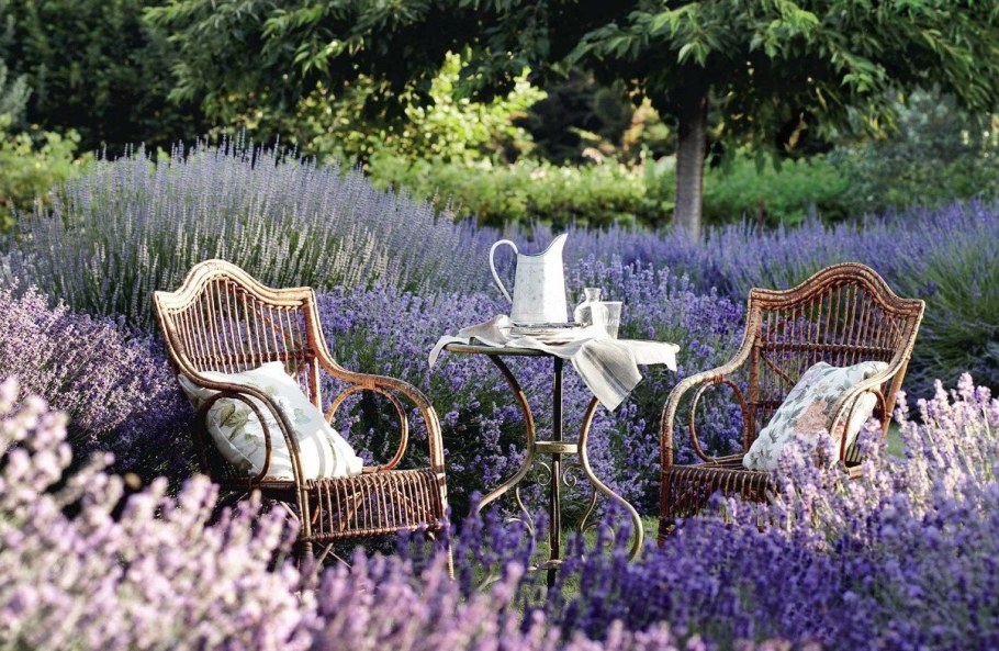 Аббатство Сенанк Прованс Франция