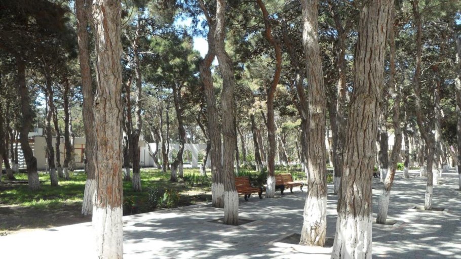 Мардакяны Азербайджан санатории