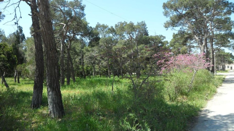 Озеро Апшерон