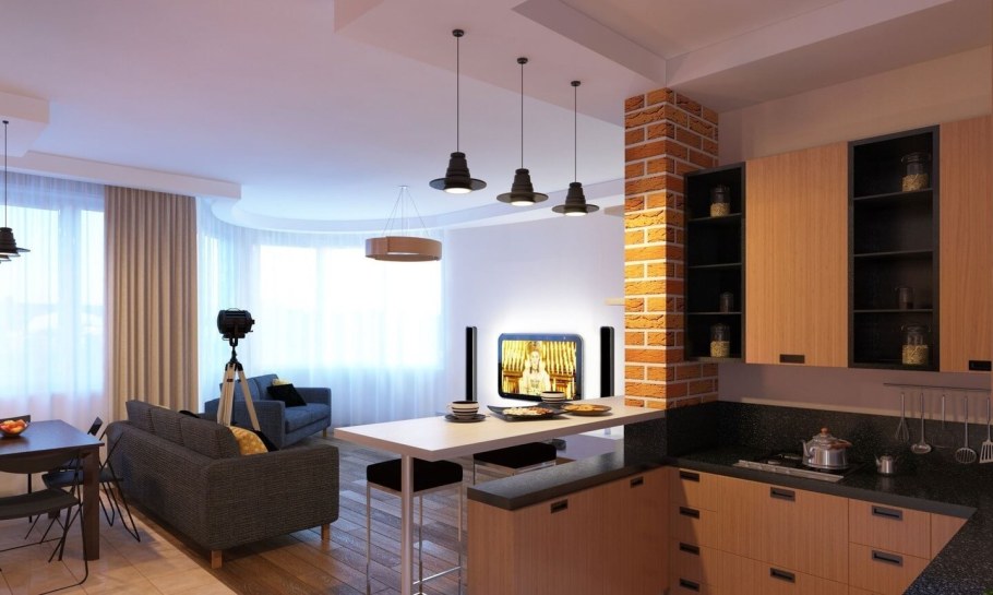 Кухня с барной стойкой совмещенная с гостиной