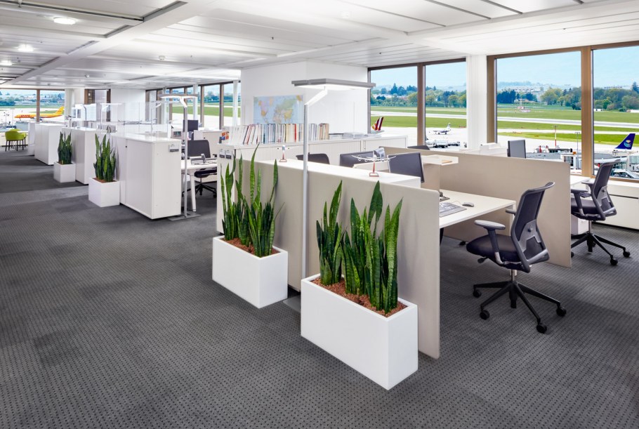 Озеленение опен Спейс