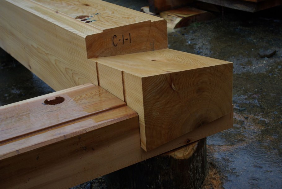 Шип ПАЗ ласточкин хвост профилированного бруса