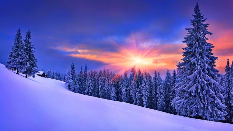 Красивый зимний лес