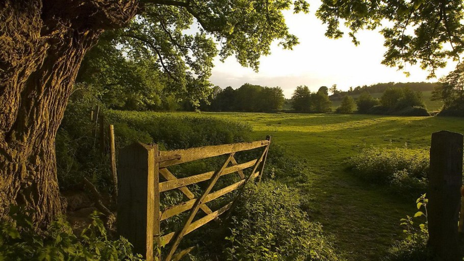 Парк Стоурхед Англия