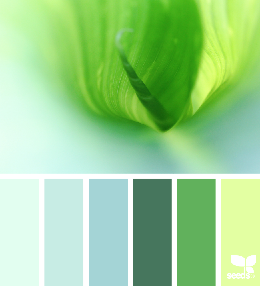 Сочетание цветовзеленогл