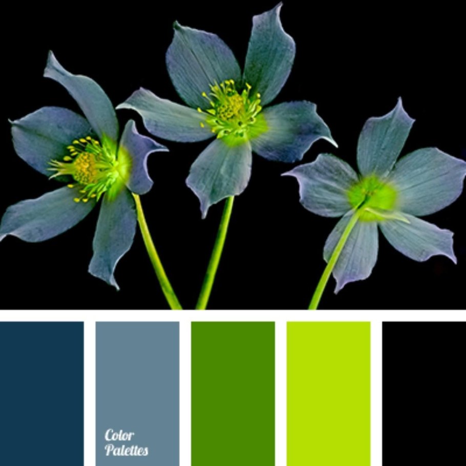 Цветовая палитра зеленый белый черный