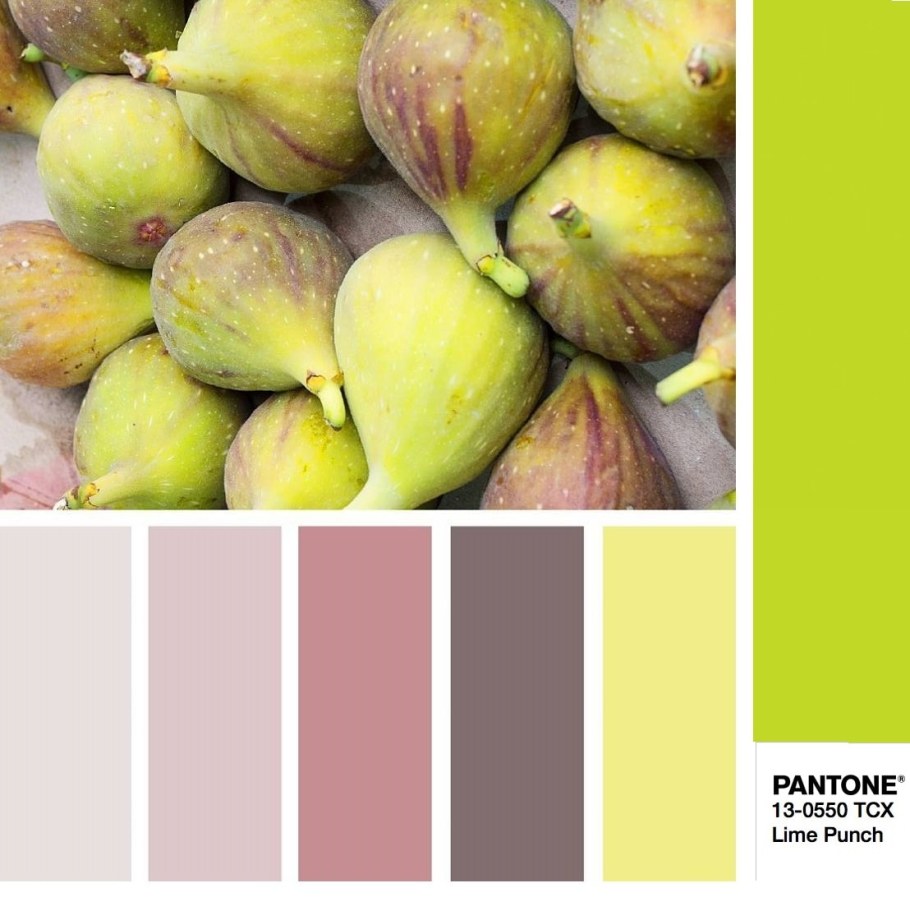 Гамма цветов пантон сочетание