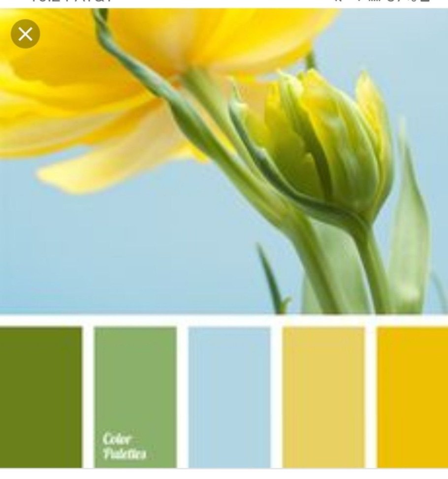 Цветовые Палитры romanuke