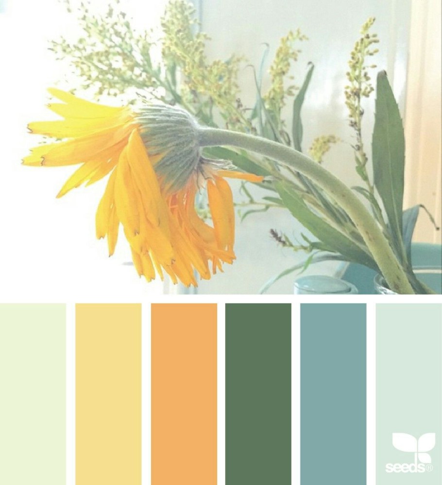 Цветовая палитра пантон шалфей