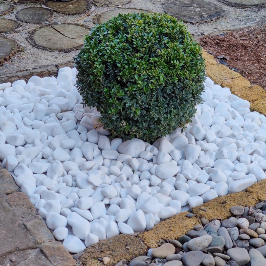 Галька мрамор «белый (галтованный)»