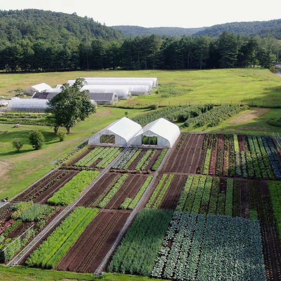 Современное фермерское хозяйство