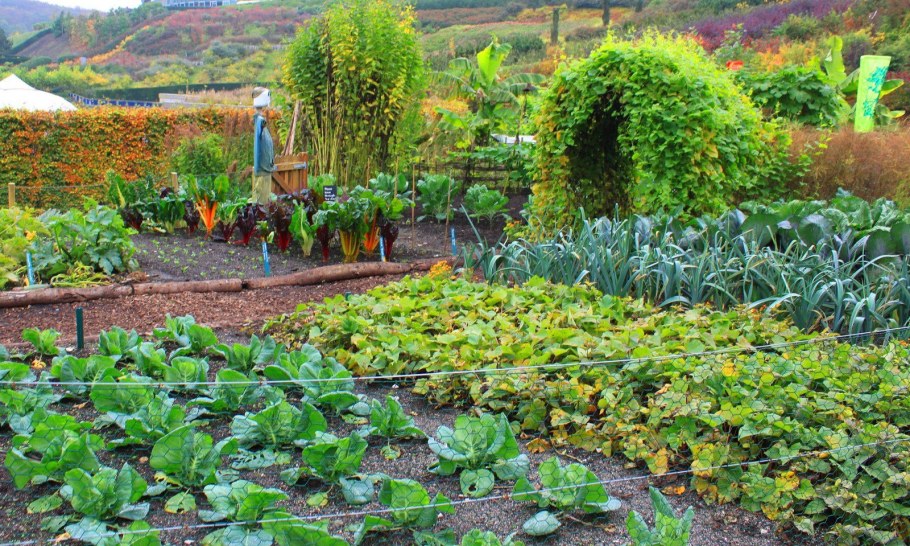 Ферма Пермакультура