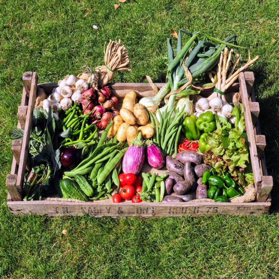 Овощной огород