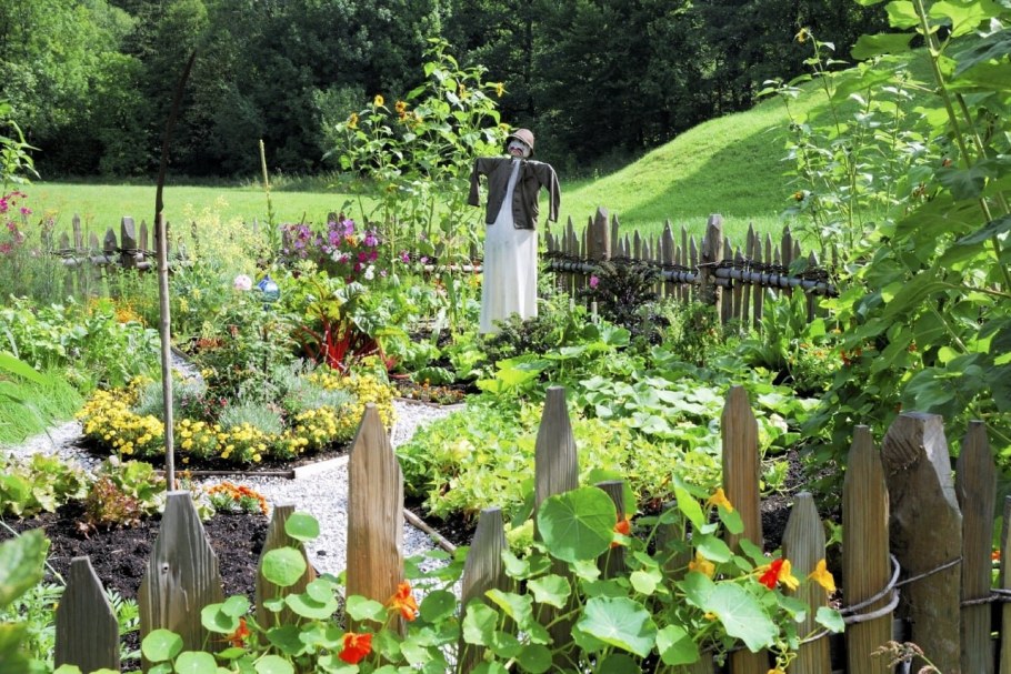 Огород в стиле Кантри