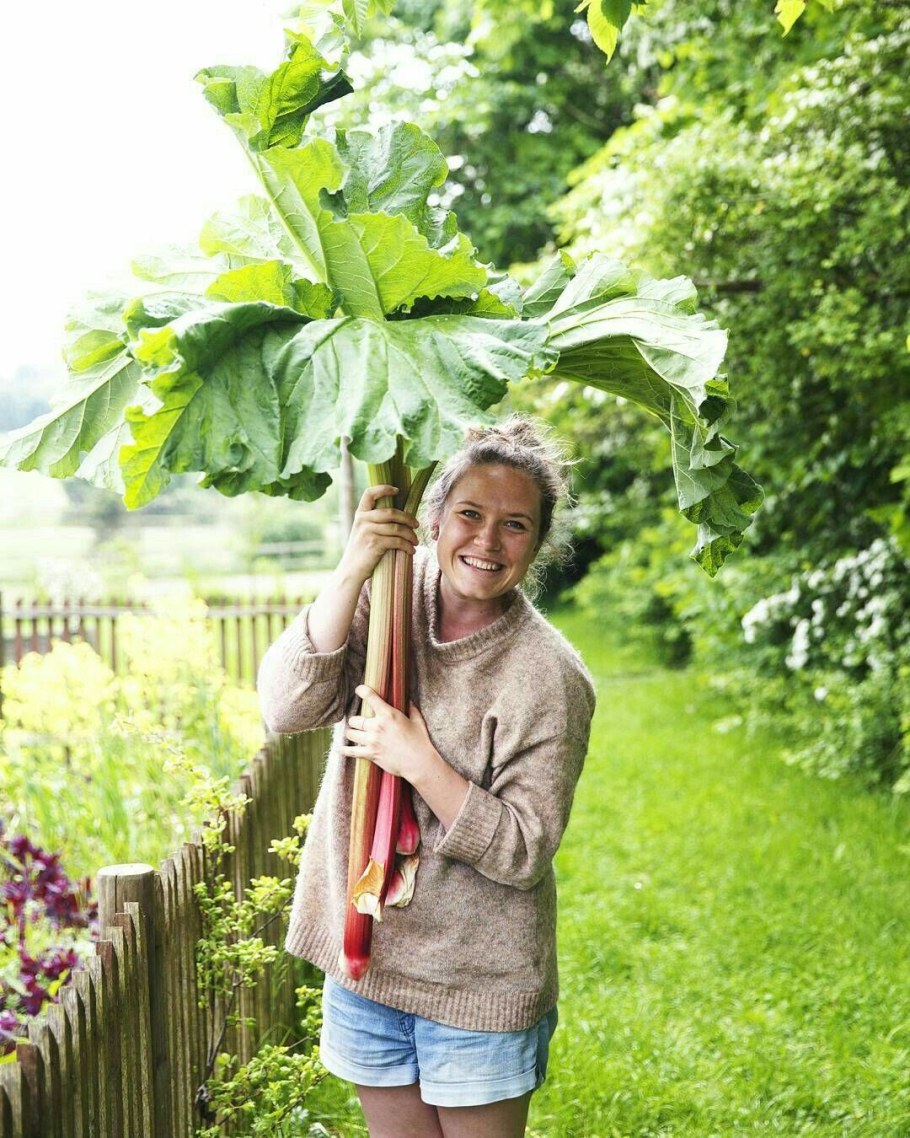 Мария Ивановна сад огород