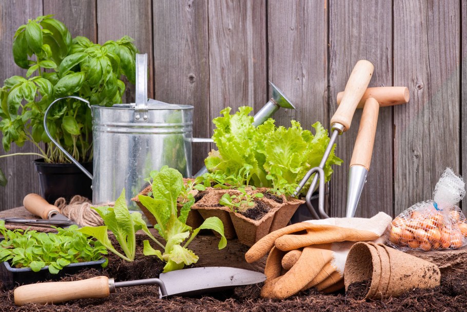 Сад и огород