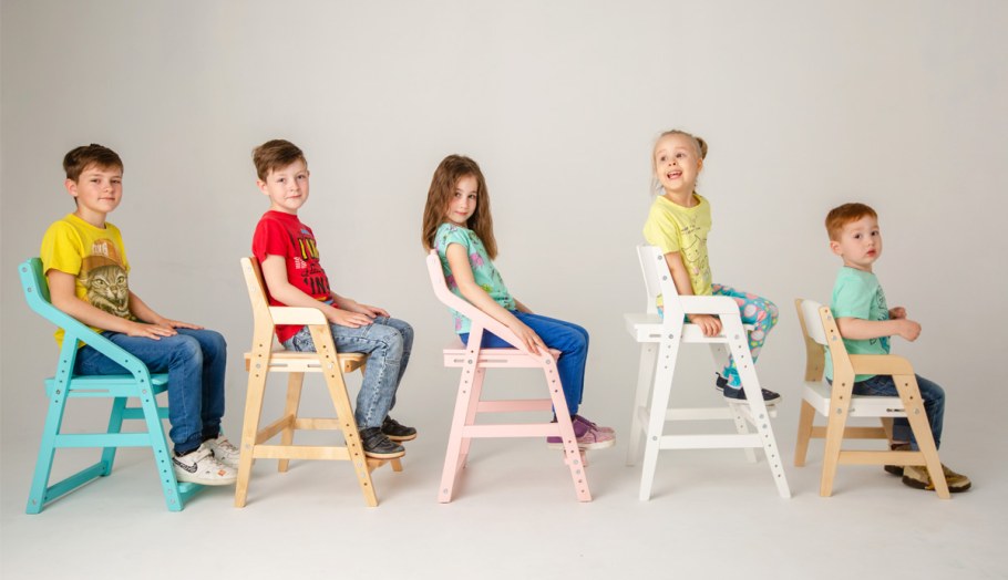 Коллекция Ньютон 38 попугаев